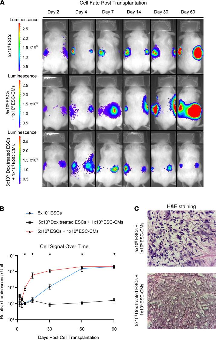 https://cdn.ncbi.nlm.nih.gov/pmc/blobs/9b35/8119193/9e9309861c3e/jciinsight-6-142000-g230.jpg