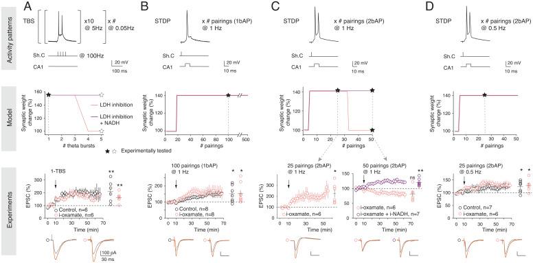 https://cdn.ncbi.nlm.nih.gov/pmc/blobs/9b35/9704697/fd558482a5bd/pnas.2212004119fig03.jpg