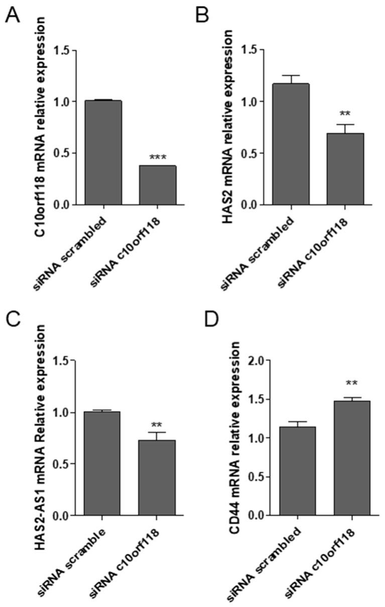 https://cdn.ncbi.nlm.nih.gov/pmc/blobs/9b3a/7961460/5a64e1ae4242/cancers-13-01105-g005.jpg