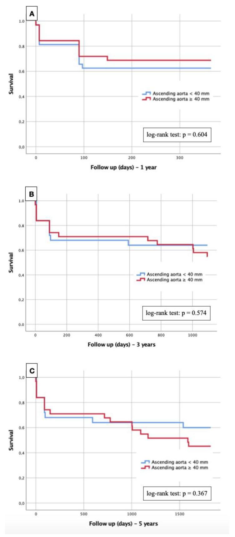 https://cdn.ncbi.nlm.nih.gov/pmc/blobs/9b3a/9914357/a8e0ac26e07f/diagnostics-13-00358-g004.jpg