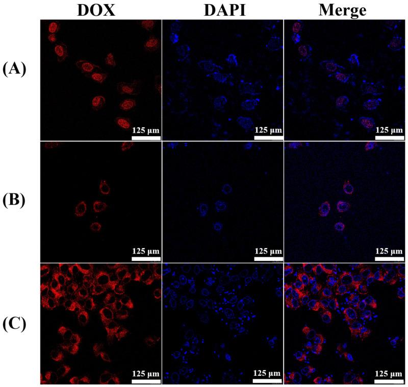 https://cdn.ncbi.nlm.nih.gov/pmc/blobs/9b3b/11820105/18fcf31f97eb/molecules-30-00599-g004.jpg