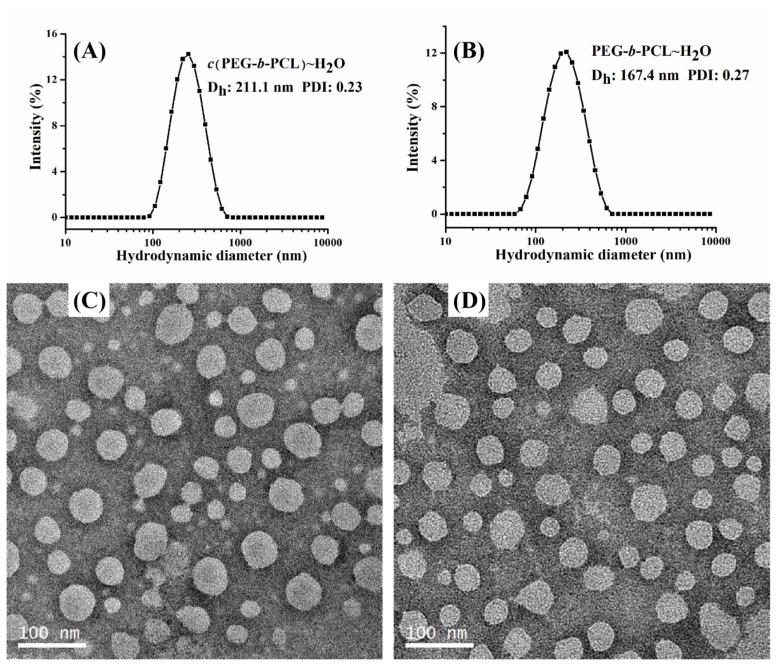 https://cdn.ncbi.nlm.nih.gov/pmc/blobs/9b3b/11820105/823ba6a4c5dd/molecules-30-00599-g002.jpg