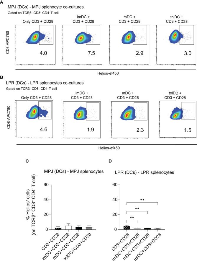 https://cdn.ncbi.nlm.nih.gov/pmc/blobs/9b3b/9244697/61814e12ecb2/fimmu-13-922958-g008.jpg