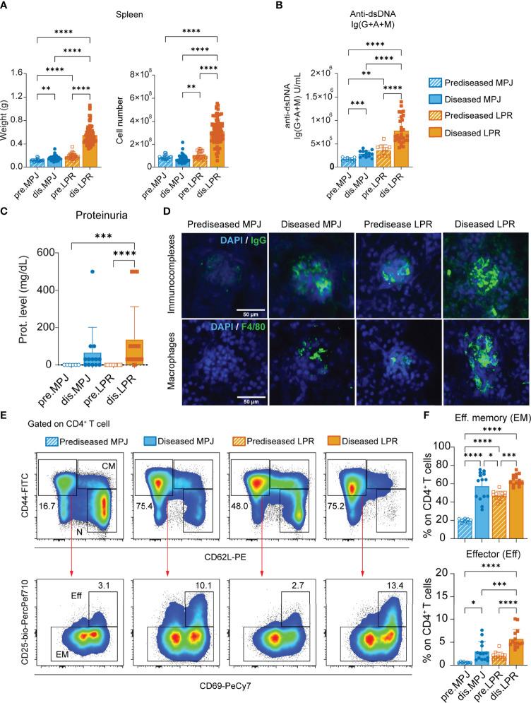 https://cdn.ncbi.nlm.nih.gov/pmc/blobs/9b3b/9244697/fc6b7a6c2e59/fimmu-13-922958-g001.jpg