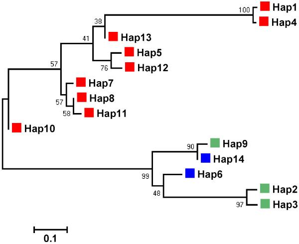 https://cdn.ncbi.nlm.nih.gov/pmc/blobs/9b3c/3505144/5d87d5493863/1471-2156-13-57-1.jpg