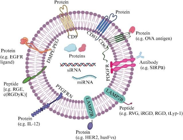 https://cdn.ncbi.nlm.nih.gov/pmc/blobs/9b3d/11540518/030fa9a63cd6/mjae025fig4.jpg