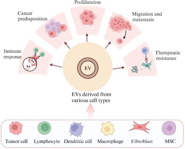 https://cdn.ncbi.nlm.nih.gov/pmc/blobs/9b3d/11540518/398f595d75cf/mjae025fig3.jpg