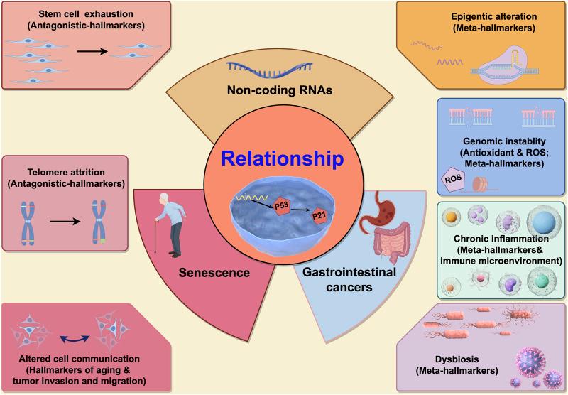 https://cdn.ncbi.nlm.nih.gov/pmc/blobs/9b3d/11739115/3fb813f7cb4d/fgene-15-1461404-g002.jpg