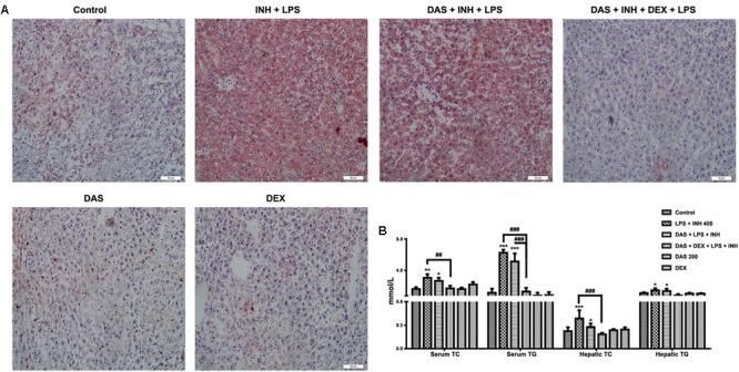 https://cdn.ncbi.nlm.nih.gov/pmc/blobs/9b3f/5850051/f6f35a652eac/fphar-09-00198-g003.jpg