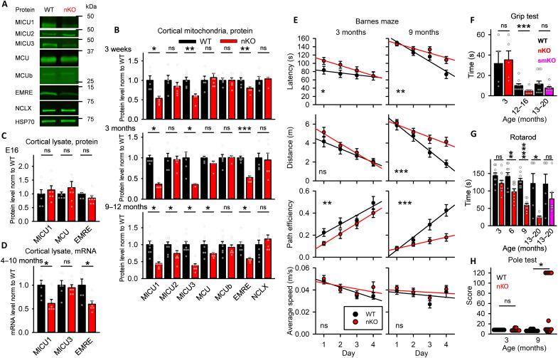 https://cdn.ncbi.nlm.nih.gov/pmc/blobs/9b40/8932652/2ba35034d3d4/sciadv.abj4716-f1.jpg