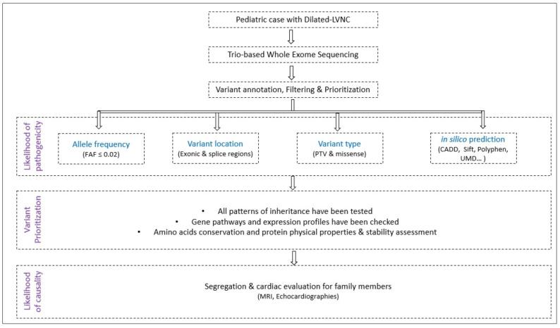 https://cdn.ncbi.nlm.nih.gov/pmc/blobs/9b41/9102709/86696befce93/ijms-23-05205-g003.jpg