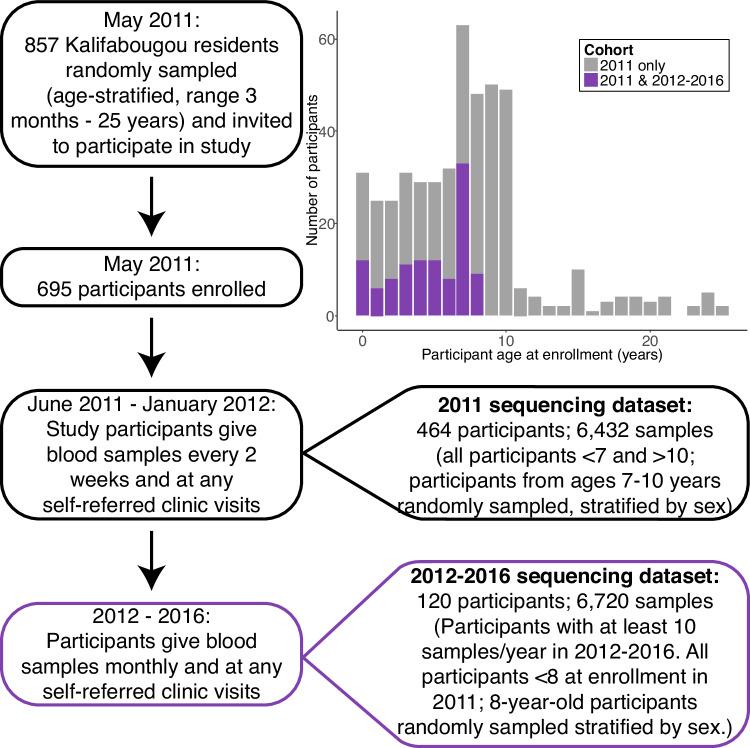 https://cdn.ncbi.nlm.nih.gov/pmc/blobs/9b42/12264271/c7347e421d6a/41467_2025_61462_Fig1_HTML.jpg