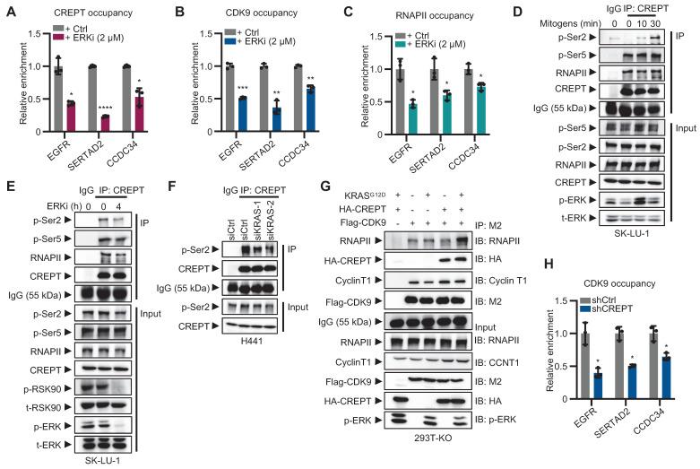 https://cdn.ncbi.nlm.nih.gov/pmc/blobs/9b43/12374588/2889ea2aa02a/thnov15p8337g006.jpg
