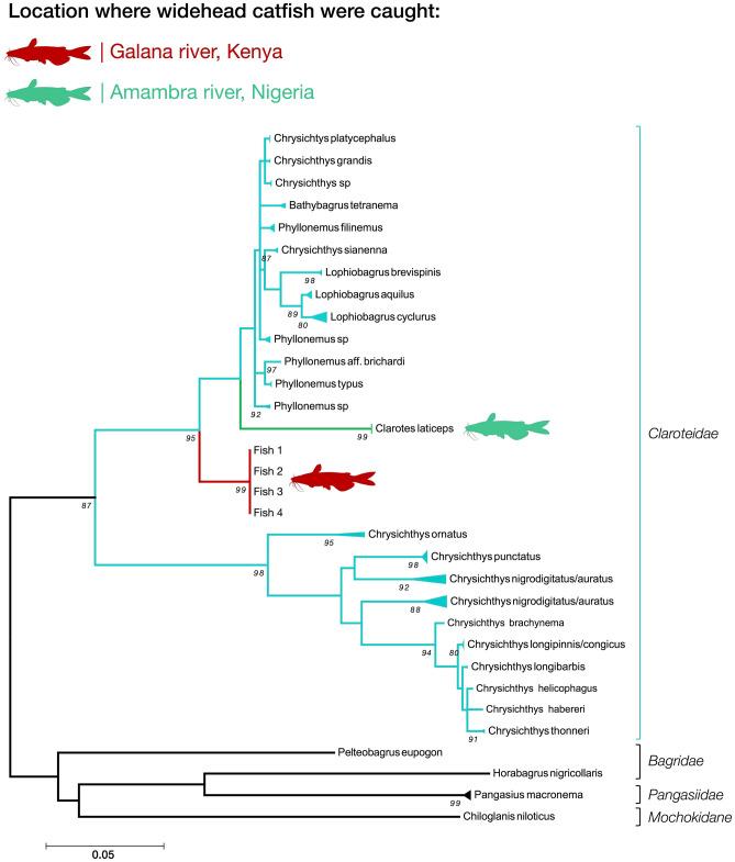https://cdn.ncbi.nlm.nih.gov/pmc/blobs/9b43/9381571/f4df6a3cc70d/41598_2022_17036_Fig3_HTML.jpg