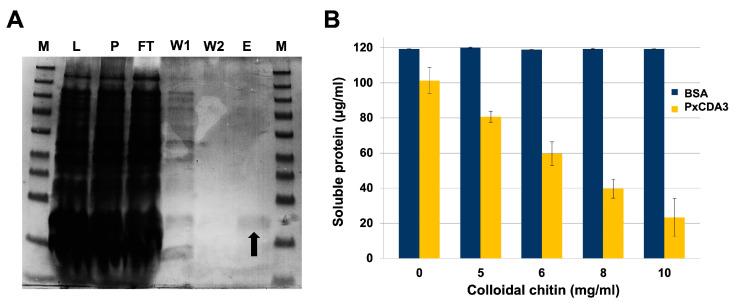 https://cdn.ncbi.nlm.nih.gov/pmc/blobs/9b43/9605236/378d5c8fc26a/jof-08-01022-g002.jpg