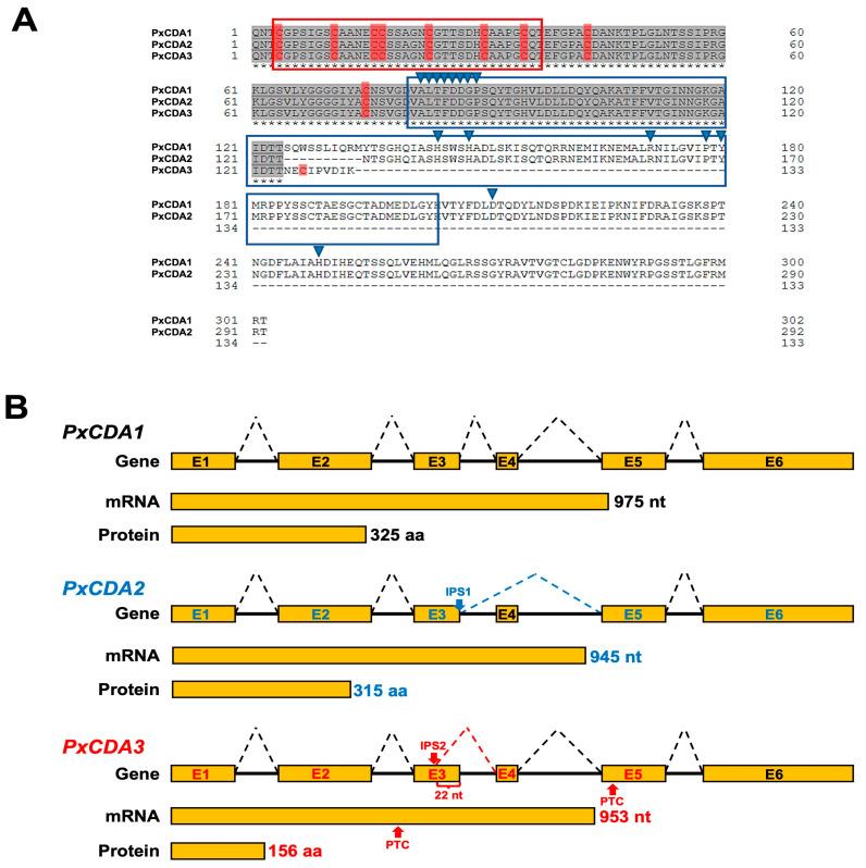 https://cdn.ncbi.nlm.nih.gov/pmc/blobs/9b43/9605236/fc1c8c3b79eb/jof-08-01022-g001.jpg