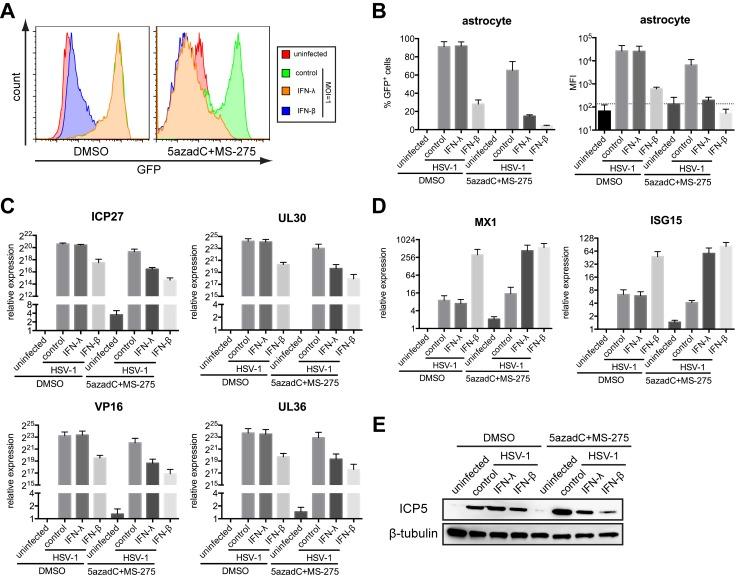 https://cdn.ncbi.nlm.nih.gov/pmc/blobs/9b44/3883642/40ff15cec759/pbio.1001758.g006.jpg