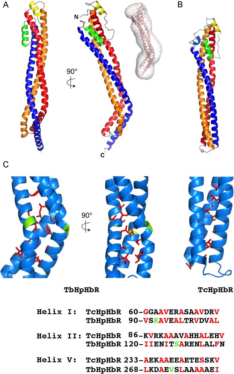 https://cdn.ncbi.nlm.nih.gov/pmc/blobs/9b44/4383175/20f03b9280ba/elife05553f001.jpg