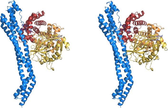https://cdn.ncbi.nlm.nih.gov/pmc/blobs/9b44/4383175/7d78fb81aab7/elife05553fs003.jpg