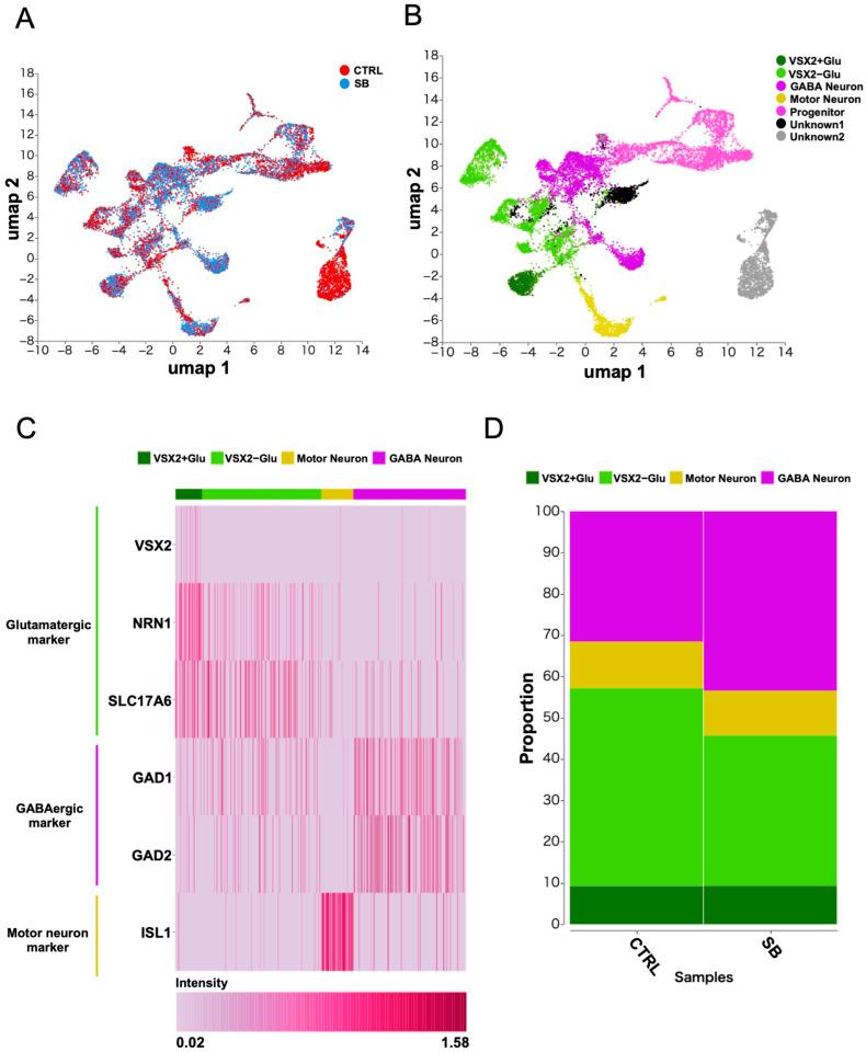 https://cdn.ncbi.nlm.nih.gov/pmc/blobs/9b45/11642595/7b708d361393/ijms-25-13141-g003.jpg