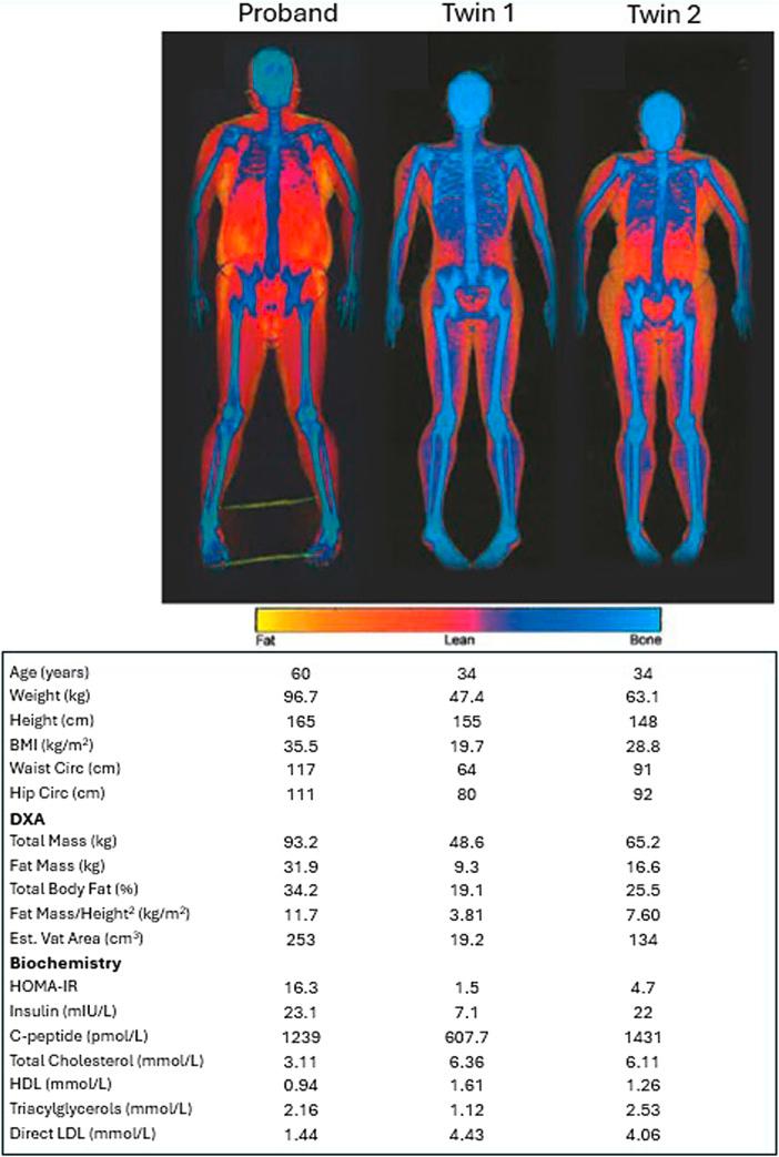 https://cdn.ncbi.nlm.nih.gov/pmc/blobs/9b45/12270488/88a703f288de/ofa-2025-0000-0000-546795_F03.jpg