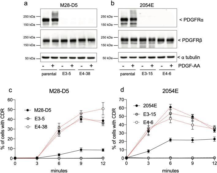 https://cdn.ncbi.nlm.nih.gov/pmc/blobs/9b45/7653911/52c84c5f0659/41598_2020_75774_Fig6_HTML.jpg