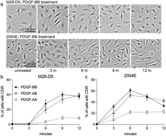https://cdn.ncbi.nlm.nih.gov/pmc/blobs/9b45/7653911/66bfd201cd17/41598_2020_75774_Fig4_HTML.jpg