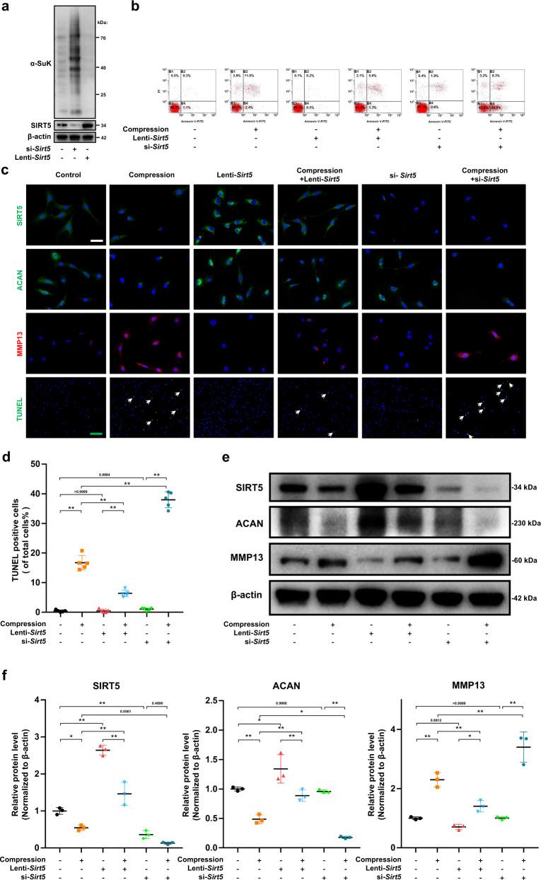 https://cdn.ncbi.nlm.nih.gov/pmc/blobs/9b46/9898264/d994a786c552/12276_2023_928_Fig2_HTML.jpg