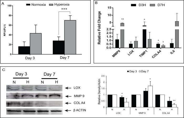 https://cdn.ncbi.nlm.nih.gov/pmc/blobs/9b48/5597215/7107222125c5/pone.0184628.g003.jpg