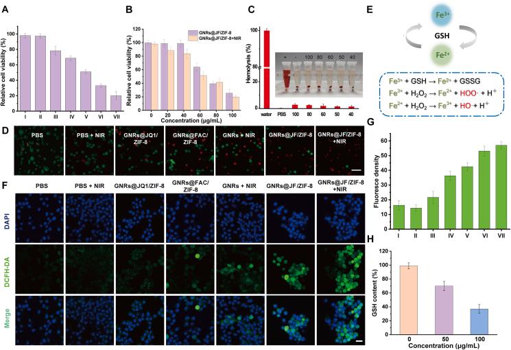 https://cdn.ncbi.nlm.nih.gov/pmc/blobs/9b49/9979193/ac21084e8951/gr3.jpg
