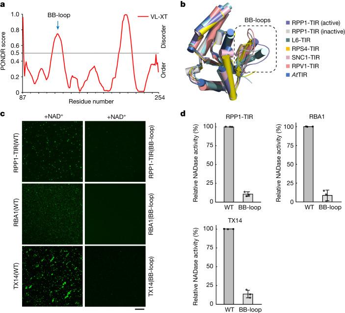 https://cdn.ncbi.nlm.nih.gov/pmc/blobs/9b4b/10972746/85ac5bf231ee/41586_2024_7183_Fig2_HTML.jpg