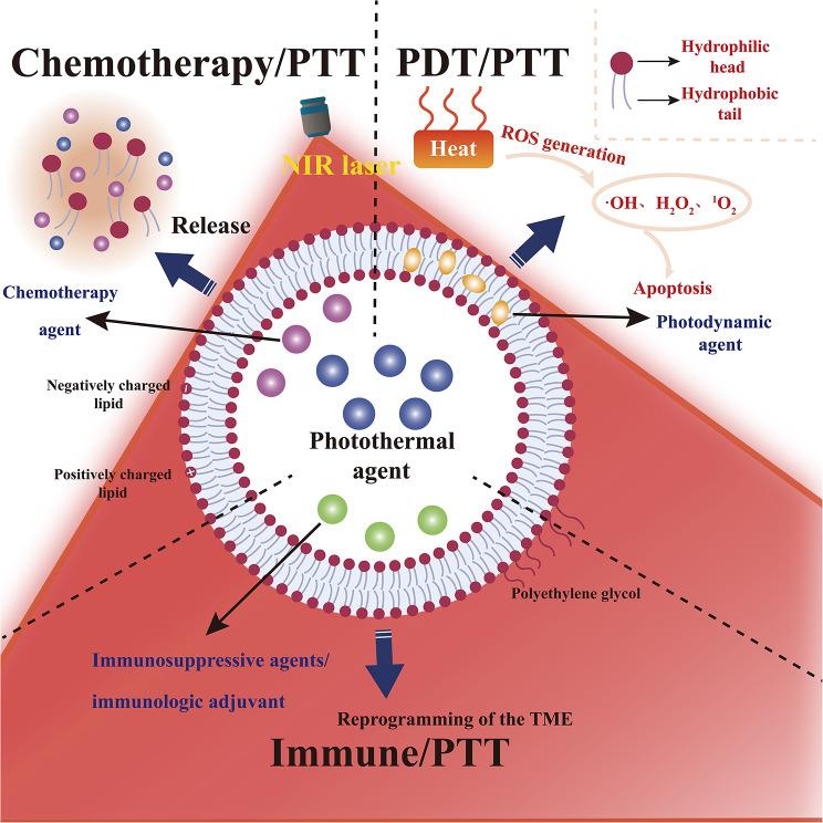 https://cdn.ncbi.nlm.nih.gov/pmc/blobs/9b4b/11783920/7433be83c626/12944_2024_2429_Fig1_HTML.jpg