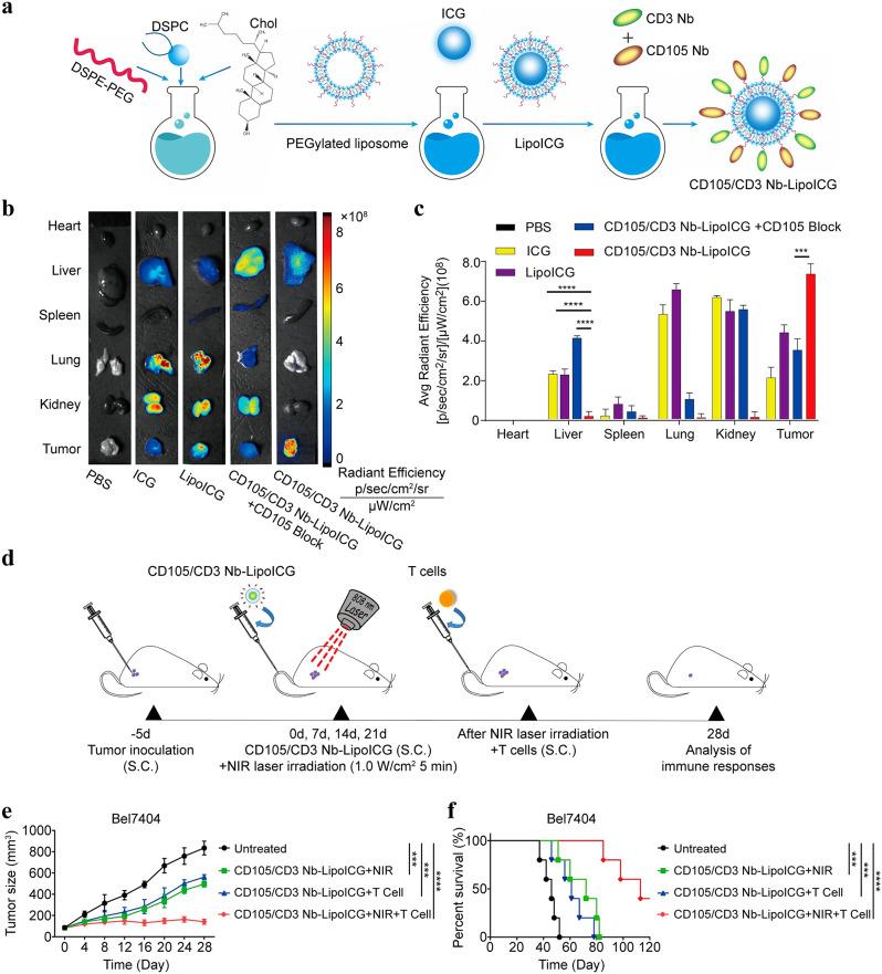 https://cdn.ncbi.nlm.nih.gov/pmc/blobs/9b4b/11783920/af5a6feea0ce/12944_2024_2429_Fig4_HTML.jpg