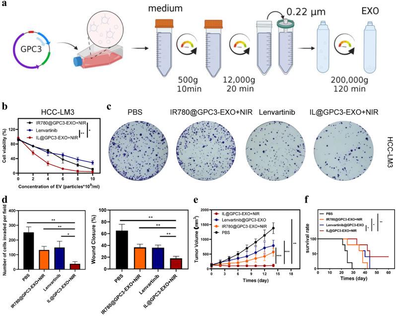 https://cdn.ncbi.nlm.nih.gov/pmc/blobs/9b4b/11783920/fe823f3d8db8/12944_2024_2429_Fig5_HTML.jpg