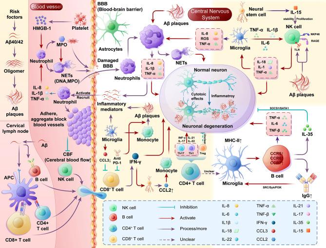 https://cdn.ncbi.nlm.nih.gov/pmc/blobs/9b4c/11177389/54fed0ef7816/12979_2024_445_Fig2_HTML.jpg