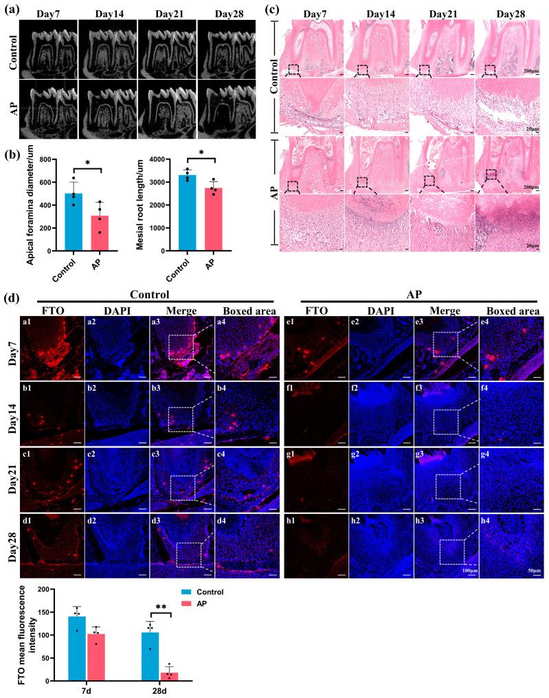 https://cdn.ncbi.nlm.nih.gov/pmc/blobs/9b4d/11012055/2076e9d2c88d/ijms-25-04045-g001.jpg