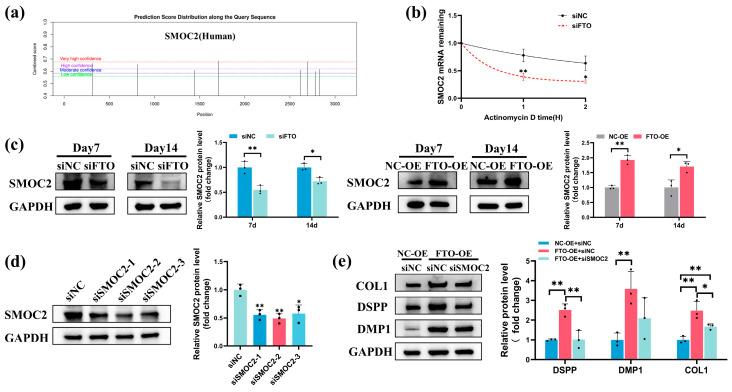 https://cdn.ncbi.nlm.nih.gov/pmc/blobs/9b4d/11012055/f0e1193f157c/ijms-25-04045-g006.jpg