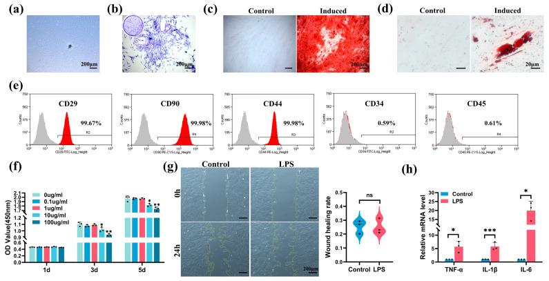 https://cdn.ncbi.nlm.nih.gov/pmc/blobs/9b4d/11012055/fb692ac94f28/ijms-25-04045-g002.jpg