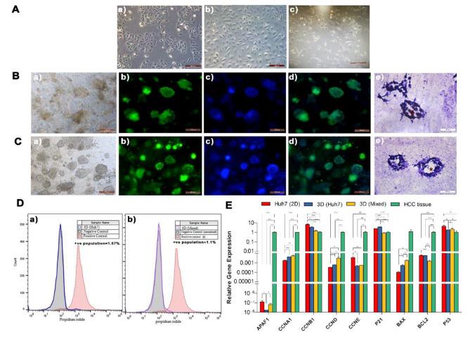 https://cdn.ncbi.nlm.nih.gov/pmc/blobs/9b4e/11110239/c859420730c7/12967_2024_5230_Fig2_HTML.jpg