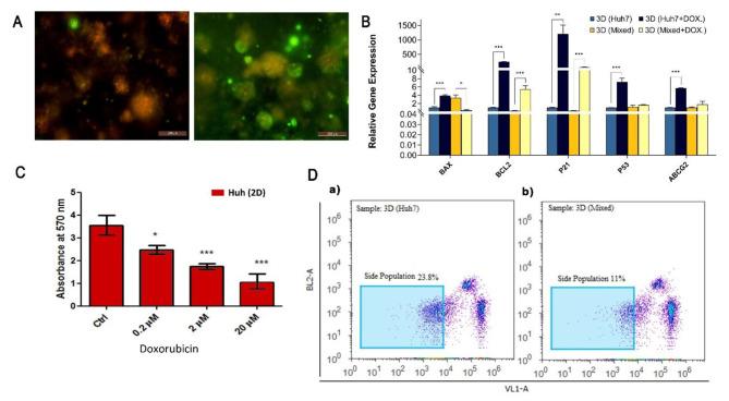 https://cdn.ncbi.nlm.nih.gov/pmc/blobs/9b4e/11110239/d3d6d4feaa75/12967_2024_5230_Fig6_HTML.jpg