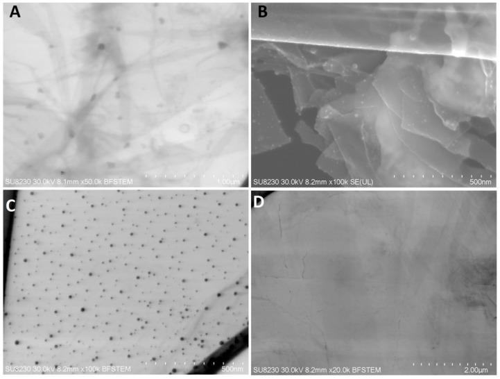 https://cdn.ncbi.nlm.nih.gov/pmc/blobs/9b4f/6470683/a38bdf09a487/materials-12-00909-g001.jpg