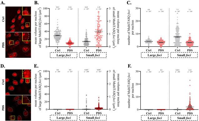 https://cdn.ncbi.nlm.nih.gov/pmc/blobs/9b52/11825307/3c8b47a2990f/BioProtoc-15-3-5209-g008.jpg