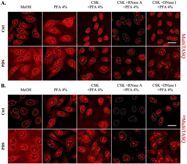 https://cdn.ncbi.nlm.nih.gov/pmc/blobs/9b52/11825307/e7867c9bc503/BioProtoc-15-3-5209-g003.jpg