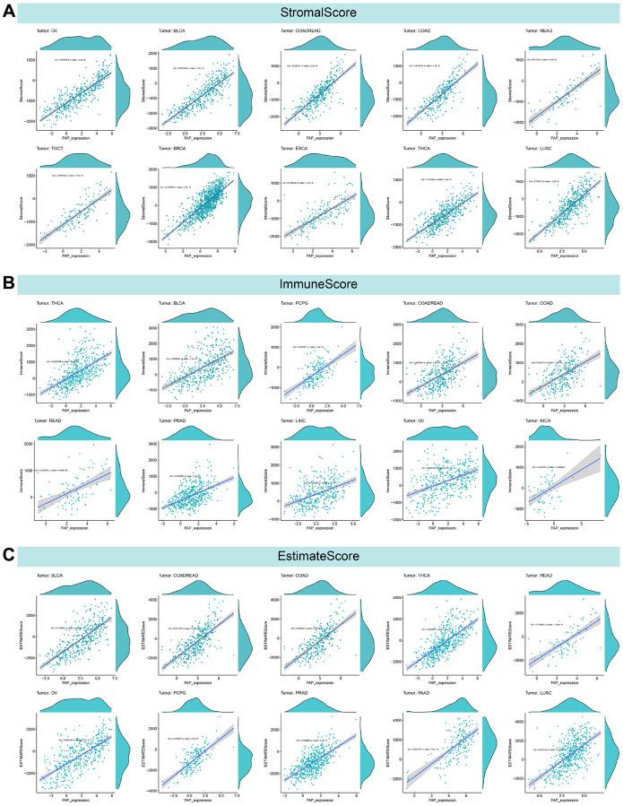 https://cdn.ncbi.nlm.nih.gov/pmc/blobs/9b53/10415543/2d87ac7271b2/aging-15-204892-g008.jpg