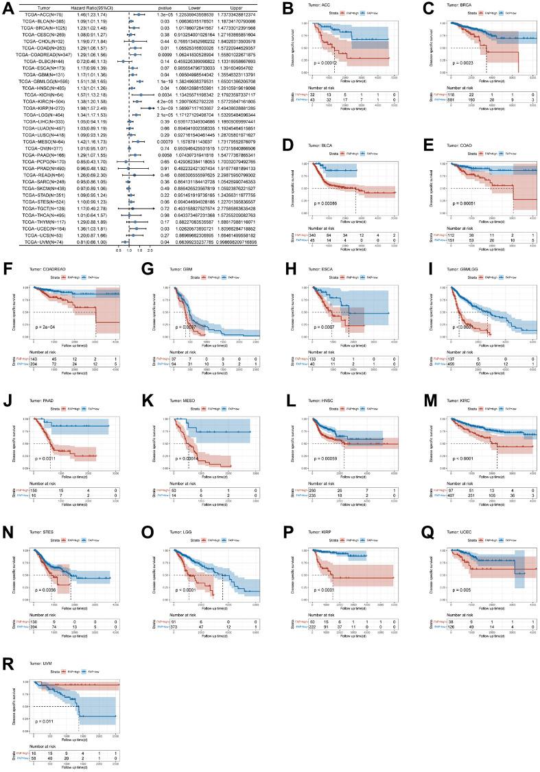 https://cdn.ncbi.nlm.nih.gov/pmc/blobs/9b53/10415543/4b1794a25b00/aging-15-204892-g003.jpg