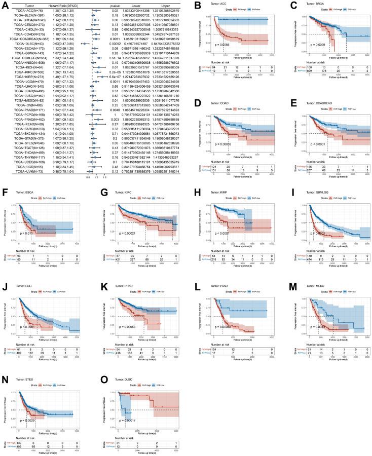 https://cdn.ncbi.nlm.nih.gov/pmc/blobs/9b53/10415543/632c34bdcbba/aging-15-204892-g005.jpg