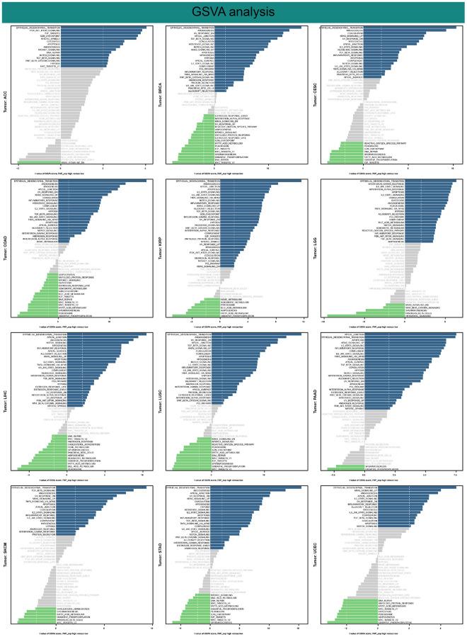 https://cdn.ncbi.nlm.nih.gov/pmc/blobs/9b53/10415543/6506d1387dc9/aging-15-204892-g012.jpg