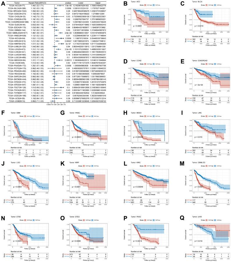 https://cdn.ncbi.nlm.nih.gov/pmc/blobs/9b53/10415543/7dd97f7154b5/aging-15-204892-g002.jpg