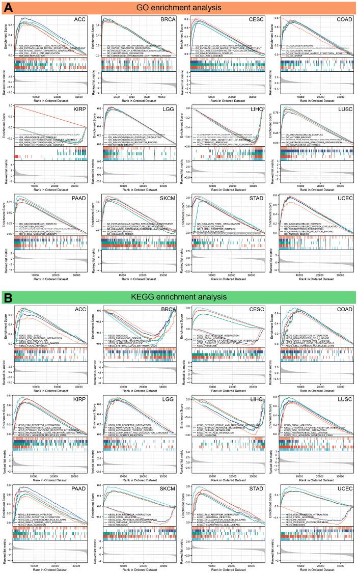 https://cdn.ncbi.nlm.nih.gov/pmc/blobs/9b53/10415543/d8630a5c9734/aging-15-204892-g011.jpg