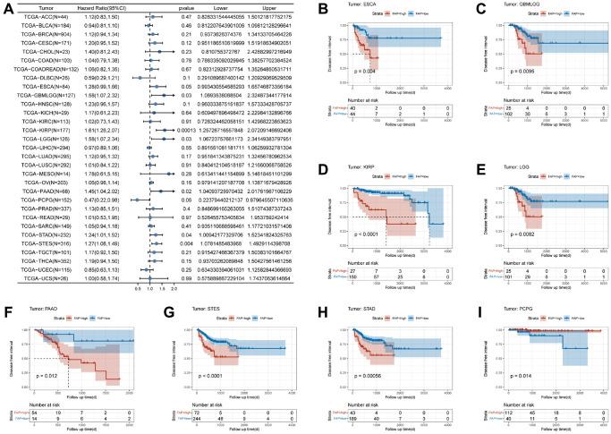 https://cdn.ncbi.nlm.nih.gov/pmc/blobs/9b53/10415543/fe104ac5de69/aging-15-204892-g004.jpg